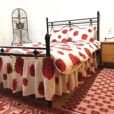Case de vacanță Combi House *