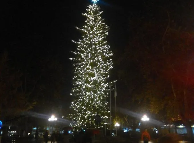 Combi House Ferienhaus *