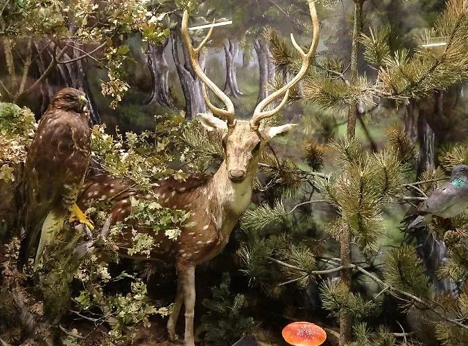 Combi House Ferienhaus